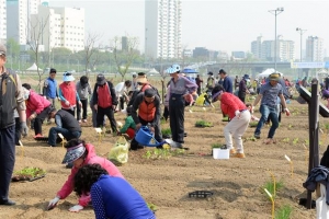 도시농부 키우는 동대문