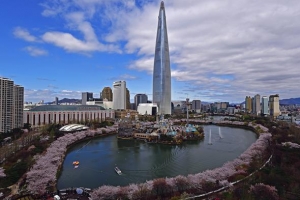 석촌호수 벚꽃 피고 웃음꽃 피고