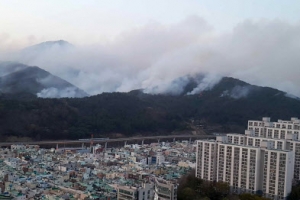 [포토] 해운대 산불 주택가 위협…불씨 바람 타고 날아다녀