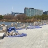 일산호수공원 유리섬유 논란에 인조암 전격 철거