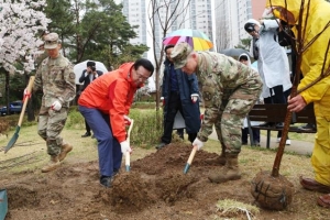 용산에 나무 받으러 가 볼까… 내일 1500그루 나눔