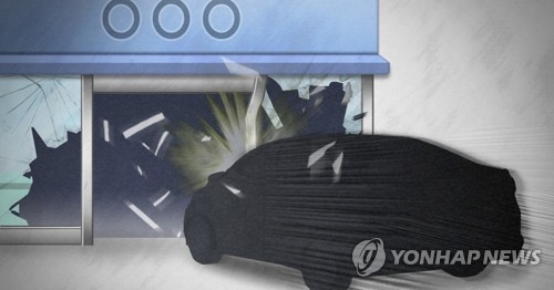 육사출신헌병장교 외제차몰고 청와대 돌진…정신질환 의심 연합뉴스