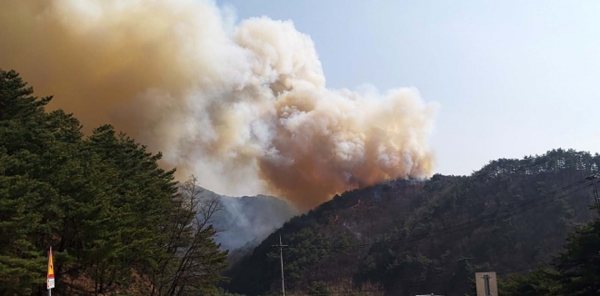 4일 낮 2시 45분쯤 강원 인제군 남면 남전리 약수터 인근 야산에서 산불이 나 바람을 타고 번지고 있다. 2019.4.4 강원소방본부 제공. 연합뉴스