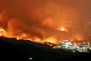 축구장 1700배 태운 고성 산불…한전 직원들 항소심도 ‘무죄’