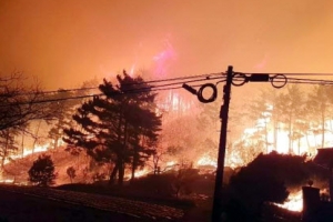 피해망상에…강릉·동해산불 부른 60대 구속기소
