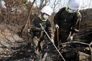 강원산불로 학교 4곳 피해…지역 52개교 휴업령