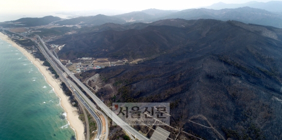 6일 강원도 강릉시 옥계면 일대의 야산이 전날 발생한 산불로 앙상한 모습을 보이고 있다. 2019.4.6. 박지환 기자 popocar@seoul.co.kr