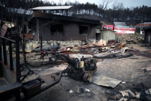 강원 산불로 인한 피해 규모 드러나…주택 401채 소실