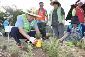 서울 한복판 관악, 어떻게 5만 도시농부를 싹 틔웠나