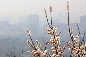 서울시 ‘미세먼지 컨트롤타워’ 세운다…비상저감조치 땐 朴시장 실시간 지휘