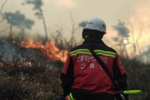 “헬기 못가는 곳 호스 끌고 가 사투” 비정규직 특수진화대원의 헌신