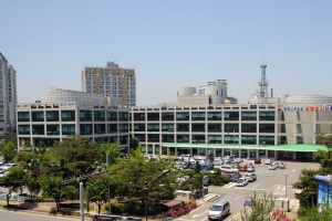 “더 넓은 세상에서 내일을 꿈꾼다” 시흥시 청소년국제교류사업 풍성