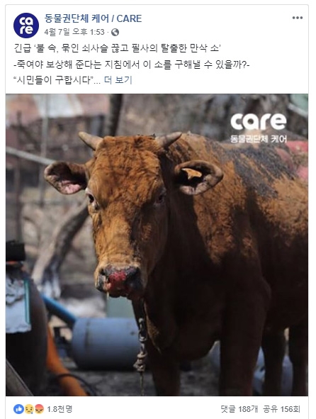 동물권단체 케어는 지난 5일부터 강원도 산불 화재 피해 현장에서 동물 구조활동을 벌이고 있다는 소식과 함께 “다친 동물들에게 긴급 도움이 필요하다”며 후원 요청글을 공식 페이스북 페이지에 올렸다.[케어 페이스북 캡처]