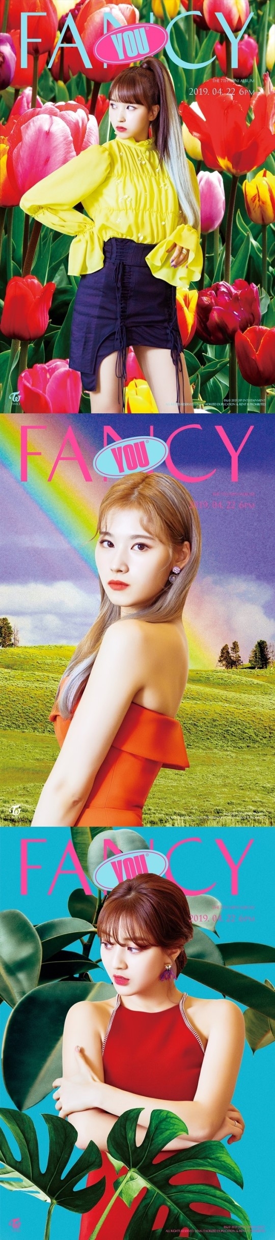 트와이스 사나 지효 미나