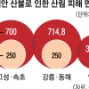 산림 피해 530→1757㏊로 급증… 생활권·관광지 연내 응급복구