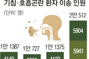 미세먼지 기승에… 올 초 호흡곤란 119이용 5년내 최다