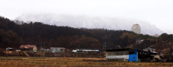 산불 지역에 눈… 2차 피해 우려 