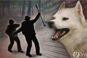 요양원 원장의 도사견, 입원 중인 할머니 덮쳤다