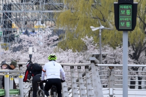 미세먼지 없는 봄꽃 라이딩