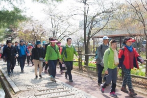 개화산의 봄은 20일에 활짝 개화됩니다