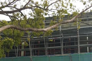 제주지사 모교 강당 신축 특혜 논란