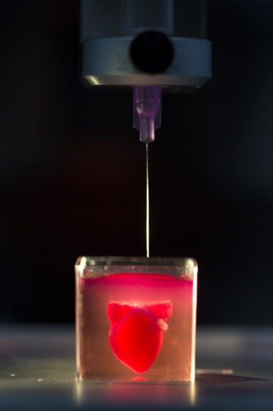 이스라엘 텔아비브대 연구팀이 15일(현지시간) 3차원(3D) 프린팅 기술을 활용해 혈관과 조직세포를 갖춘 인공심장 제작 과정을 시연하고 있다. 실제 환자의 조직세포에서 추출한 성분이 주원료로 사용됐다. 텔아비브 AP 연합뉴스