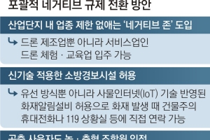 산업단지에 서비스업도 융합… 업종 제한없는 ‘네거티브 존’ 도입