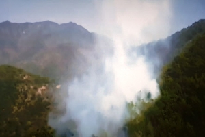 [포토] 계룡산국립공원 산불…피어 오르는 연기