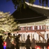 봄밤에 즐기는 고궁의 정취… ‘경복궁 별빛야행’ 24일 예매 시작