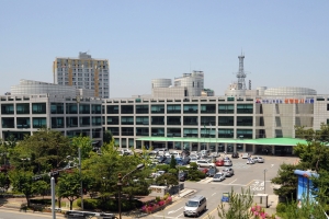 “창군이래 모든 군복무중 사망자 ‘군사망사고 진상규명위원회’에 진정하세요”