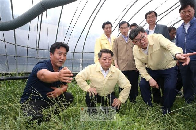 박 시장이 안전한 도시를 만들기 위해 현장을 찾아 점검하고 있다.