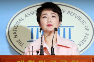 이언주 불륜설 퍼뜨린 30대 남성 벌금형