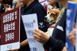 개 정액 채취하고 굶기는 게 연구? “동물 실험 국정감사 해야”