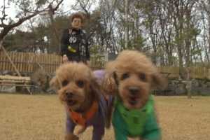 아이돌만큼 바쁜 49년차 가수 양희은, “식구보다 보보·미미가 먼저죠”