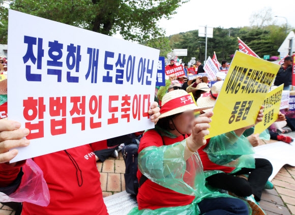 개 불법 사육, 도축 등에 대한 경기도특별사법경찰단의 집중 단속에 반발한 육견 단체 회원들이 25일 경기도 수원시 소재 경기도청 앞에서 집회를 열고 구호를 외치고 있다. 연합뉴스 