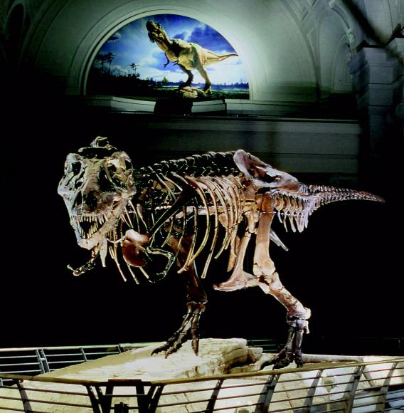 시카고 필드자연사박물관의 아이콘인 티라노사우루스 공룡 ‘수’. 전 세계 티라노사우루스 뼈대 화석 중 가장 거대하다. 소소의책 제공