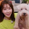 ‘마리텔V2’ 정유미, 반려견 그린이 속마음 듣고 ‘눈물’