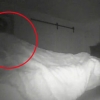 “침실에 누군가 있어요” 침대 이불 들어올리는 유령?