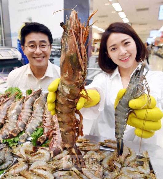 킹블랙타이거 새우 맛있어요  1일 서울 이마트 용산점에서 모델들이 ‘킹블랙타이거 새우’를 선보이고 있다. ‘킹블랙타이거 새우’는 블랙타이거 새우의 최대 8배, 흰 다리 새우의 최대 20배에 달하는 자연산 새우로 고급 갑각류인 랍스터와 식감이 비슷하다. 이마트는 오는 8일까지 킹블랙타이거 새우를 ‘국민가격’에 선보일 예정이다. 박윤슬 기자 seul@seoul.co.kr