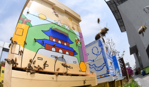 서울 중구 퇴계로 이비스버젯 앰배서더 동대문 옥상에 젊은 작가들의 작품이 그려진 벌집에서 벌들이 활발히 움직이고 있다. 도준석 기자 pado@seoul.co.kr