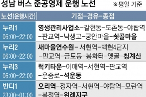 성남시 오늘부터 심야버스 달린다