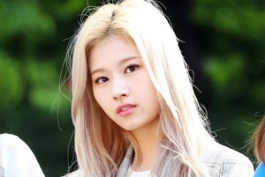 일본, 한국 수출 규제에 불매운동→트와이스 사나 퇴출 요구까지