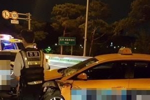 여배우 고속도로 사망, 남편 용변 때문에 정차? ‘왜 내렸나’ 의문