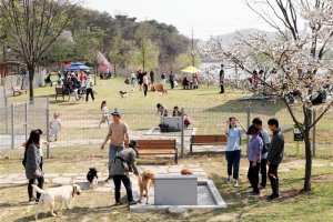 윗동네도 옆동네도 ‘댕댕이’ 놀이터 생겼어요