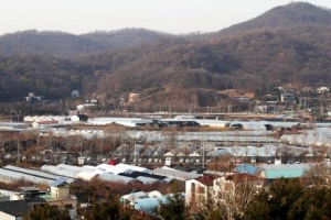 과천 화훼산업 다시 꽃 피도록… 힘 모으는 사람들