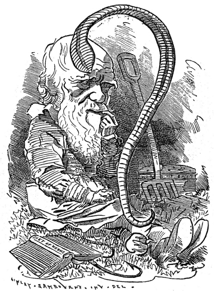 영국 만평 잡지 ‘펀치’(1881년 12월 6일)에 게재된 지렁이 전문가 다윈의 풍자 캐리커처. 미래엔 제공