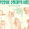 [김초엽 작가의 과학을 펼치다] 밖에서 산다고… ‘길냥이’가 집고양이보다 불행할까