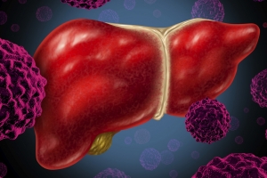 B형 간염바이러스 감염 전 과정 관찰 가능한 기술 나왔다