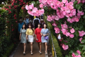 1000만송이 장미, 중랑을 물들이다