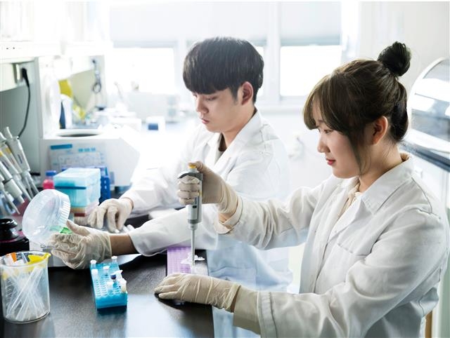 울산과학기술원(UNIST) 학생들이 연구 실험을 하고 있다. UNIST 제공